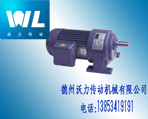 GL(H)小齒輪減速電機(jī)