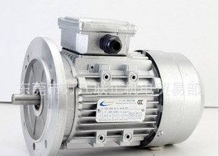 YS系列三相異步電動(dòng)機(jī)(H56~90mm)