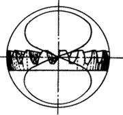 �X݆�����g�Z�F�X݆�����p�����X݆�����X݆��