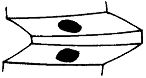 �F�X݆�͜�(zh��n)�p�����X݆�g(sh��)�Z(y��)�ӹ�������݆�X���|���z���ԇ�(y��n)