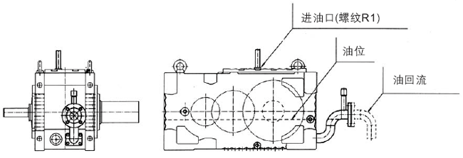     �͹ܳ���ֱ�����L(zh��ng)���S�p�����ߴ硢��(r��n)���������͵�ճ�Ⱥ�������׃����