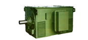 Y系列中型高壓三相異步電動機